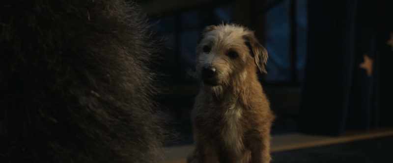 Hmm. Bob. Bob-o. Bobby-dog
