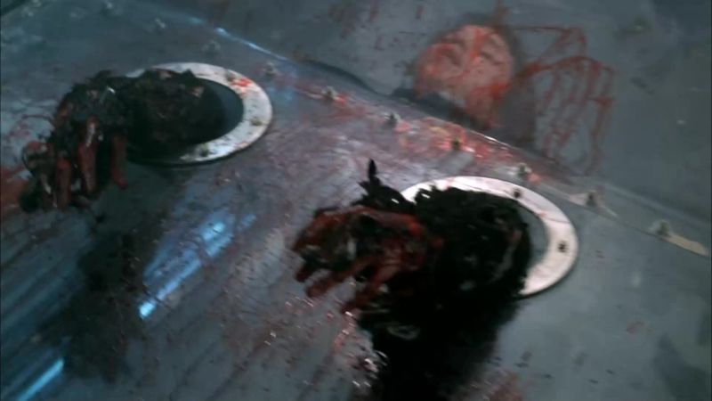 Hodgins!