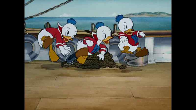 Hoist the anchor! Hoist the anchor!