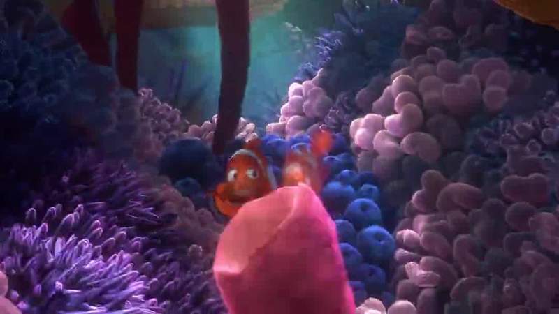 Hold my fin