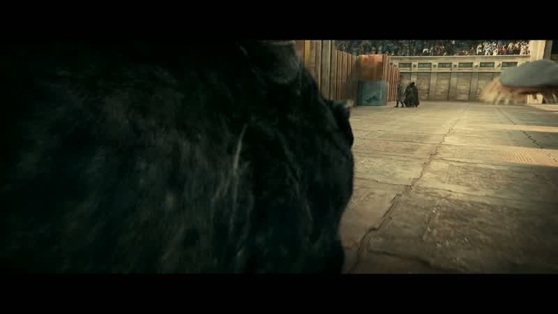 Hold. Hold! Now!