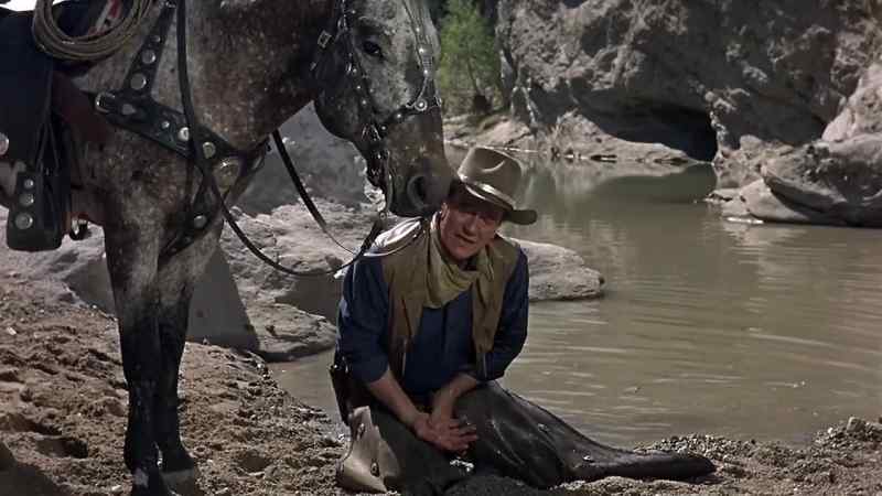 Hold it, Cochise. Steady, boy