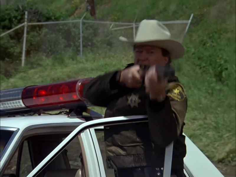 Hold it, Coile! Freeze!