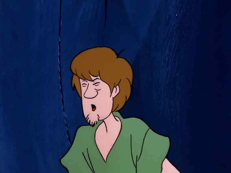 Hold it, Scooby. That's him