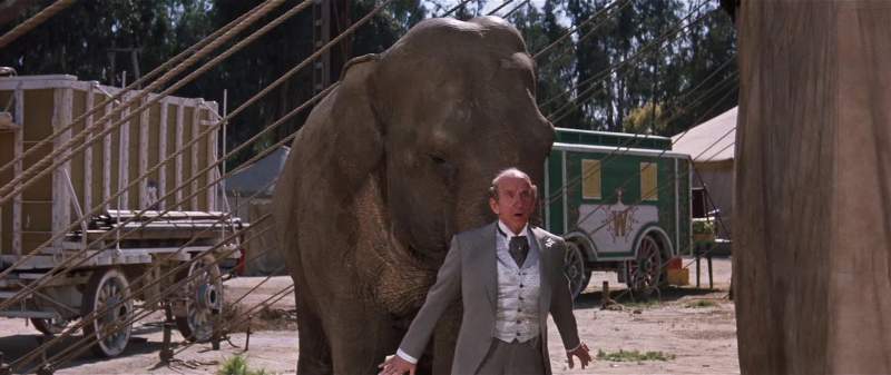 Hold it right there Where are you going with that elephant