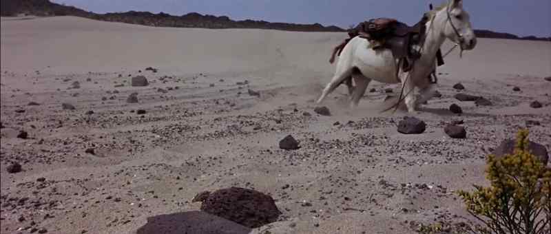 Hold still now, mule. Damn it, hold still!
