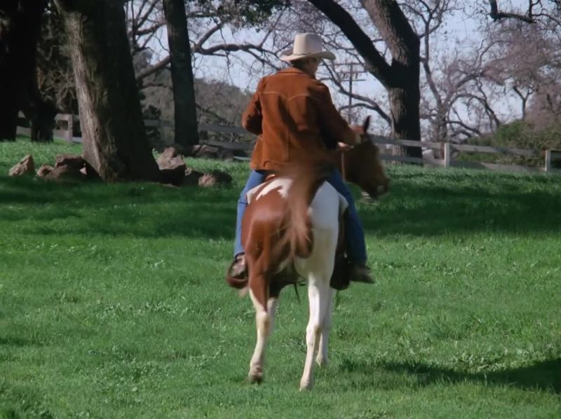 Hold the rein a little bit? Pull him around