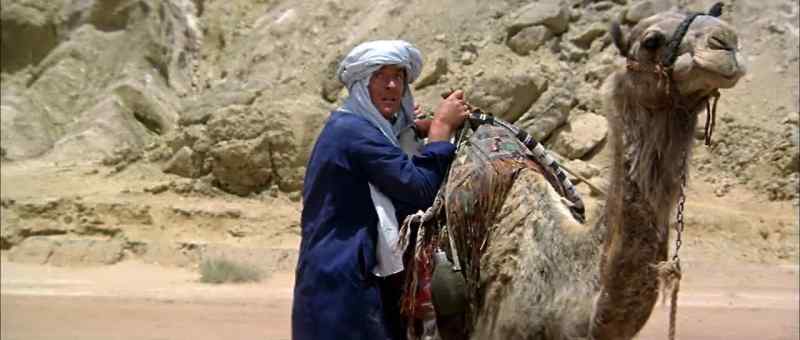 Hold the reins, pull them down and say