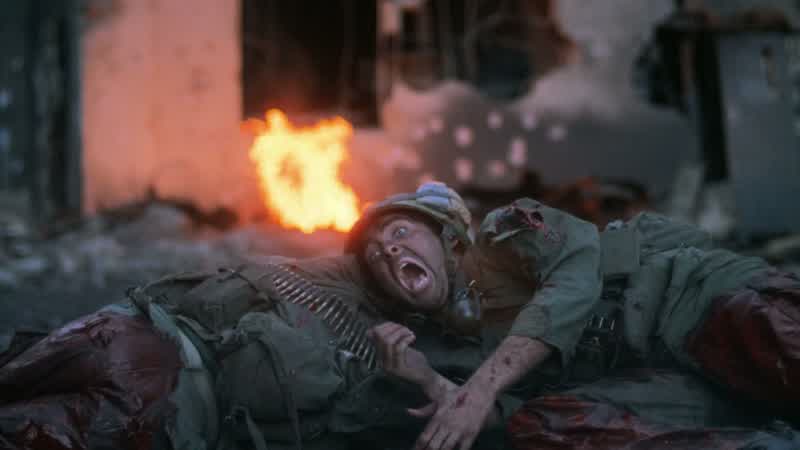 Hold your fire