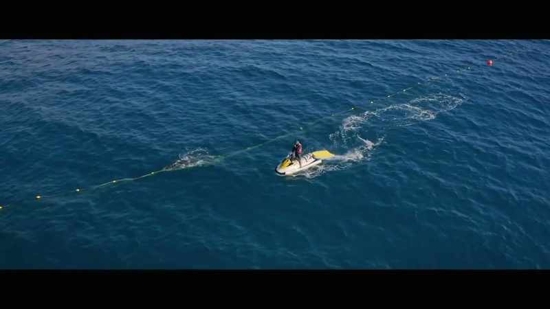 [Holly] The day that I found a humpback whale
