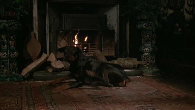 Holmes sweet Holmes