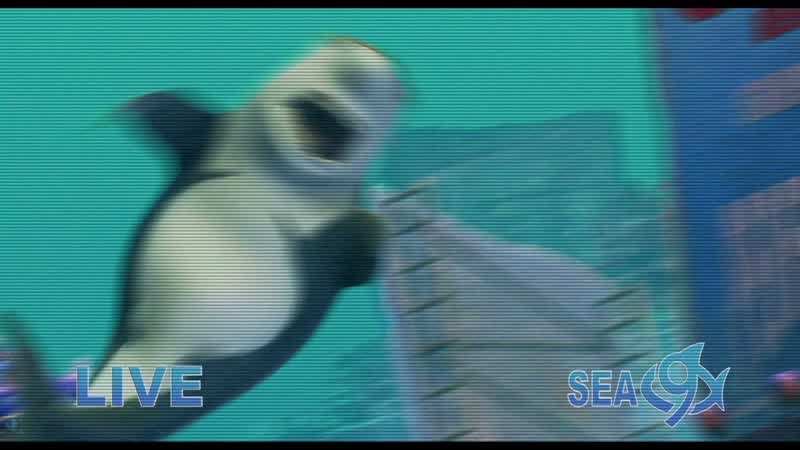 Holy mackerel!