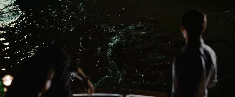 Holy shit Those are fucking crocodiles