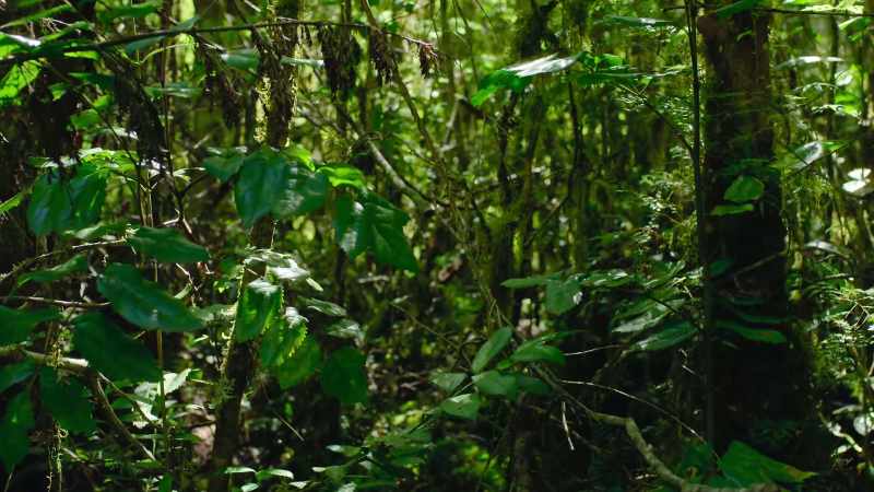 Home to animals found nowhere else on Earth