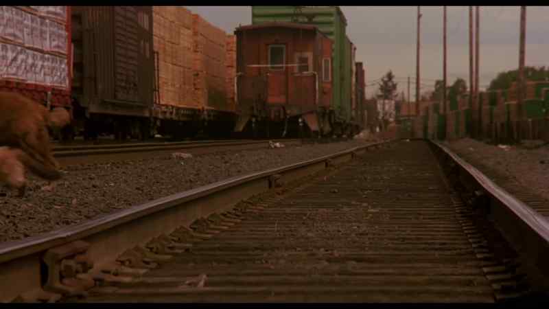 Home is just beyond these tracks
