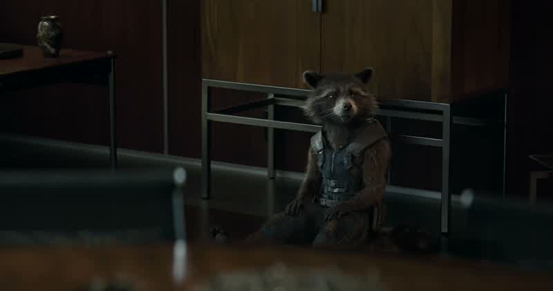 Honestly until this exact secondI thought you were a Build A BearMaybe I am