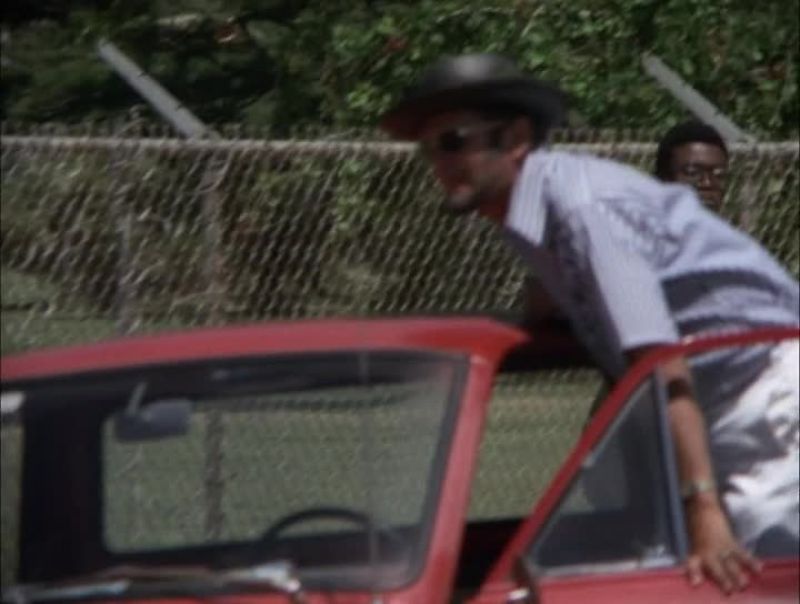 [ HONKING CONTINUES ]