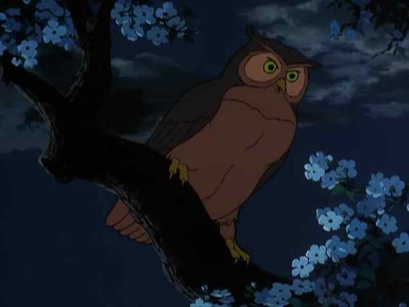 [HOOTING]