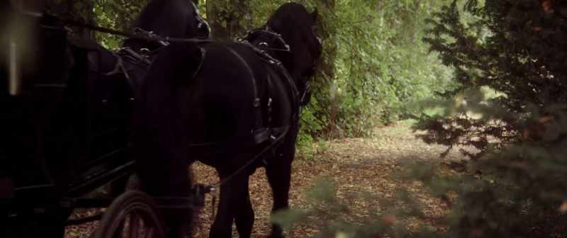 (hooves clomping) (dramatic music continues)