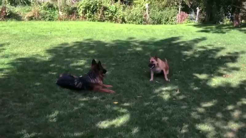 Hope's made a full recovery