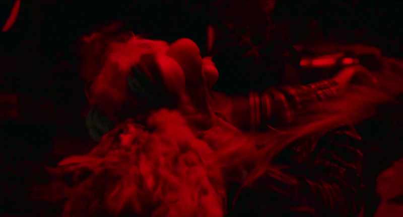[♪ horror sting] - [Squawky Bird screeches]