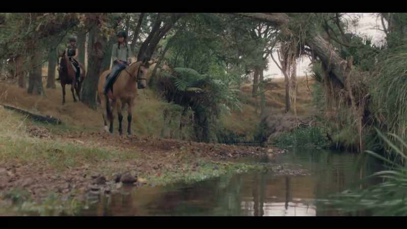 [HORSE BLOWS]