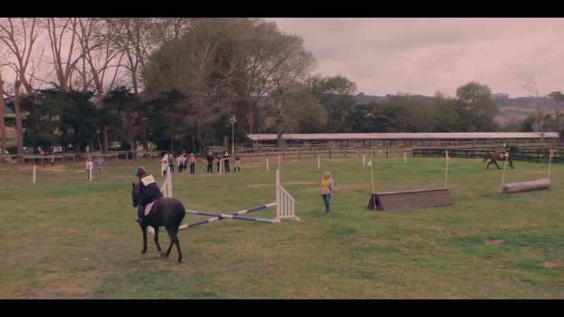 [HORSE BLOWS]