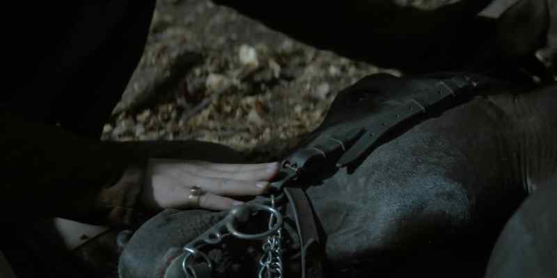 (horse blows, squeals)