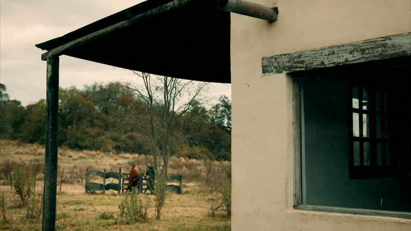 [ HORSE BLUSTERS ]