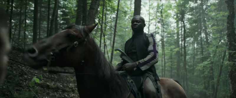[HORSE CHUFFS]