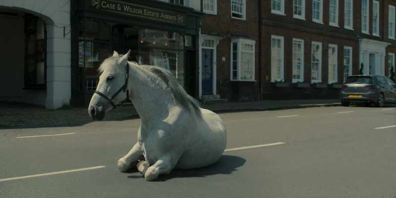 [Horse grunting]