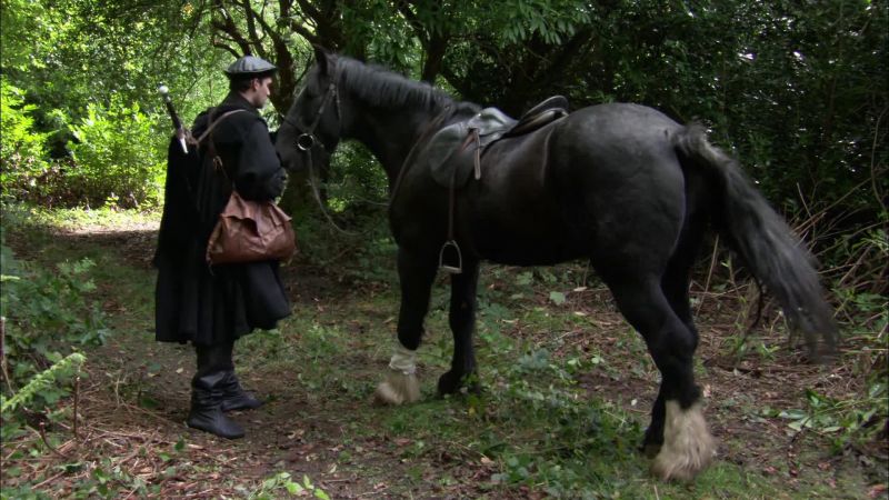 [Horse neighing]