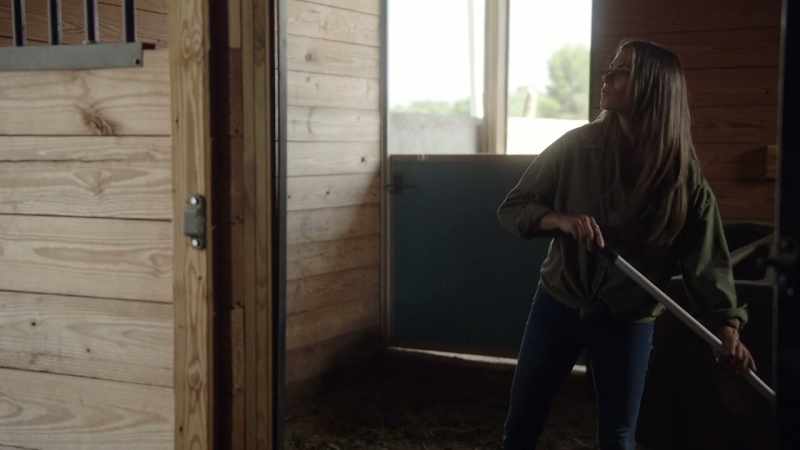 [horse neighing]