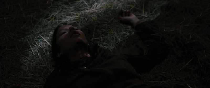 [Horse neighing]