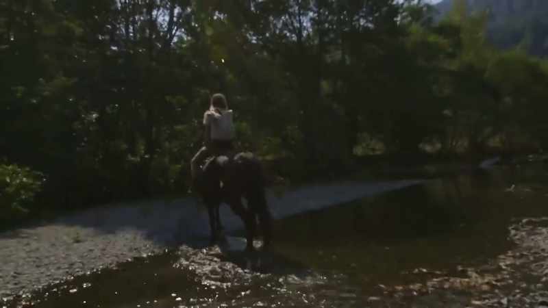 [horse neighing]