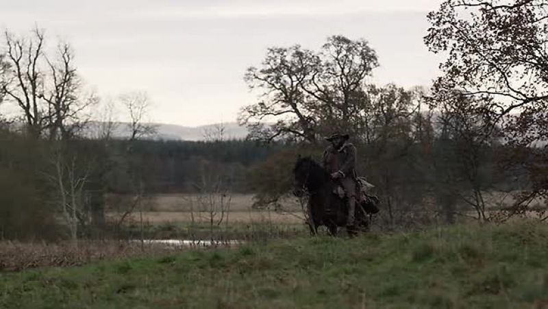 [horse neighs, chuffs]