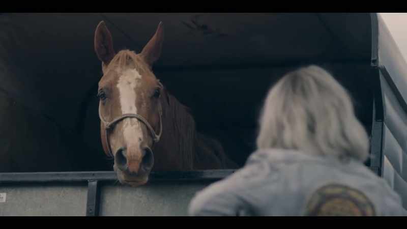 [HORSE NEIGHS FAINTLY, NICKERS]