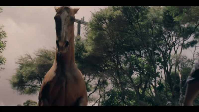 [HORSE NEIGHS, ISSIE SCREAMS]