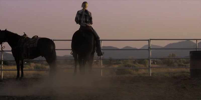 [horse neighs]