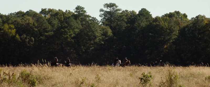 (horse neighs)