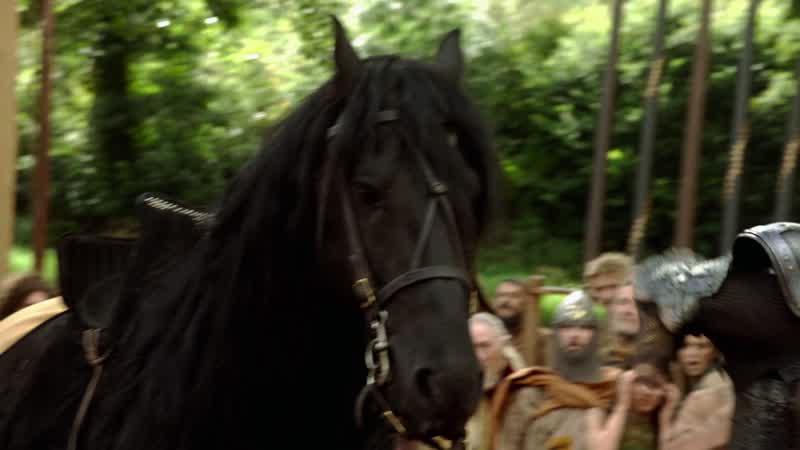 (Horse neighs)