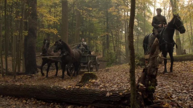 (horse neighs)