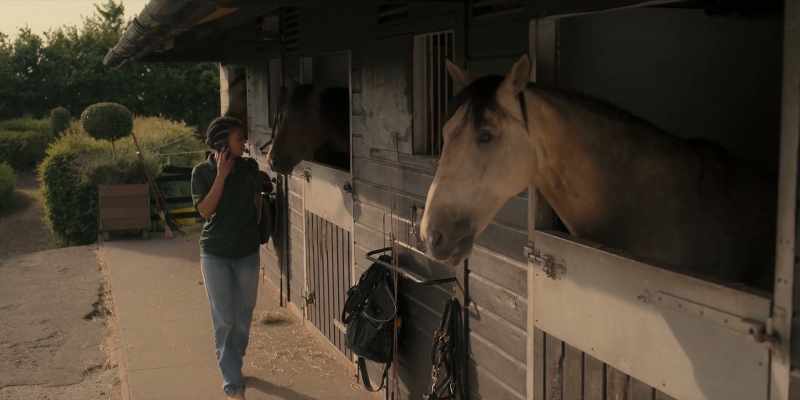 [Horse neighs]