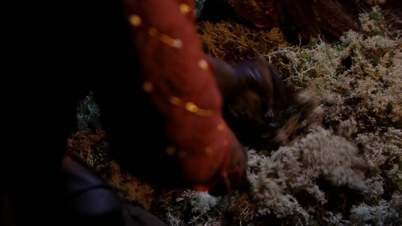 [ Horse neighs ]