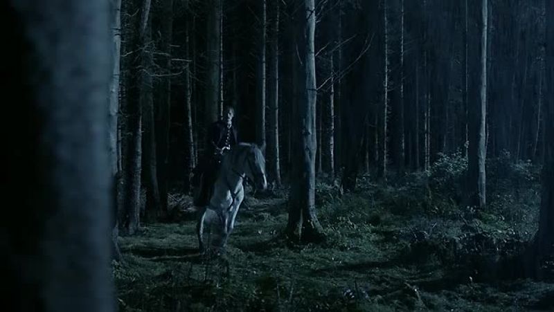 [horse neighs]