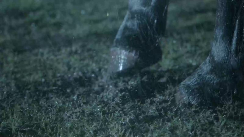 (HORSE NICKERING)