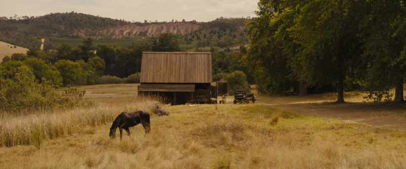 (horse nickers)