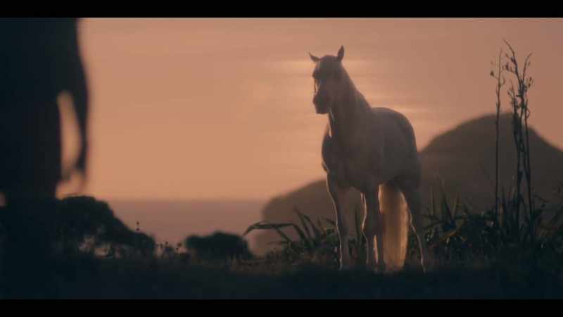 [HORSE NICKERS]