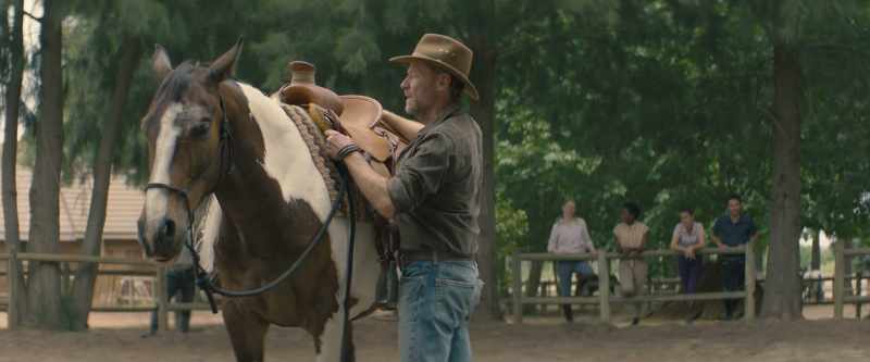[horse nickers]