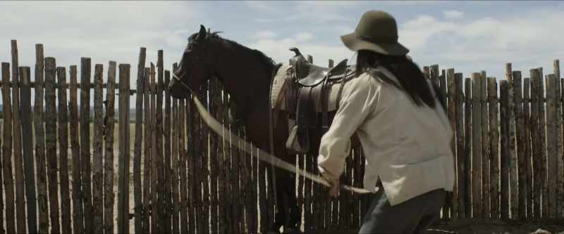[horse nickers]